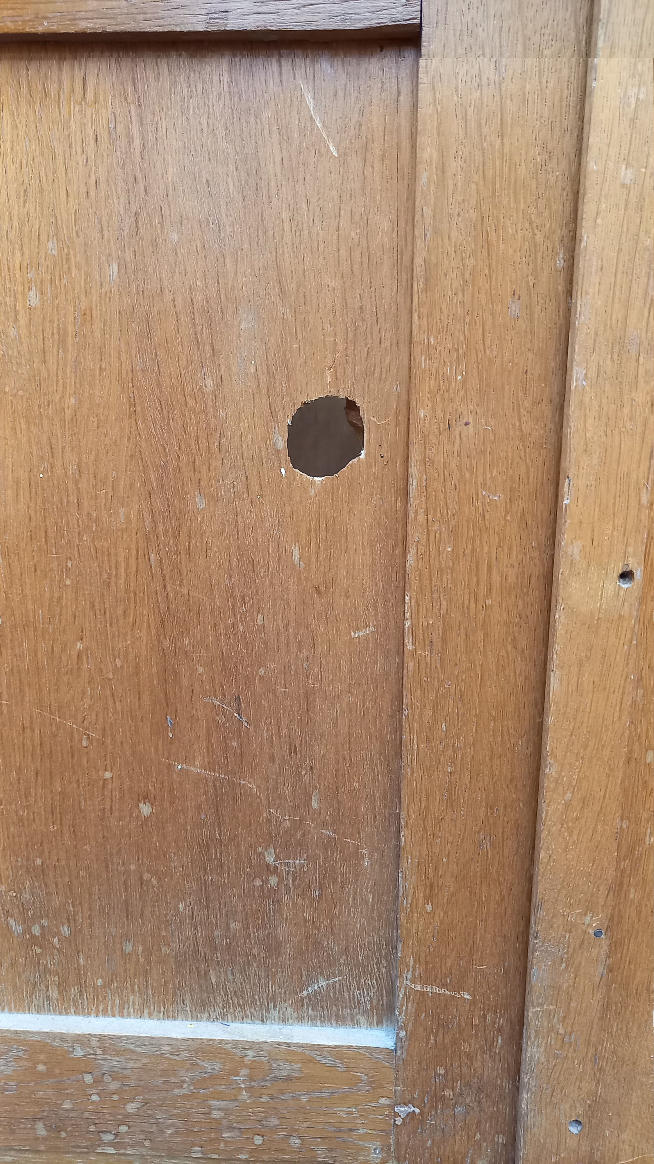 Glazed school wardrobe/bookcase - Vintage