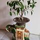 Elephant glazed earthenware