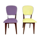 Duo de chaises colorées