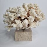 Old white coral in branches on base, 24 cm