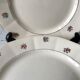 Set of 9 flat plates Digoin Sarreguemines years 40-50