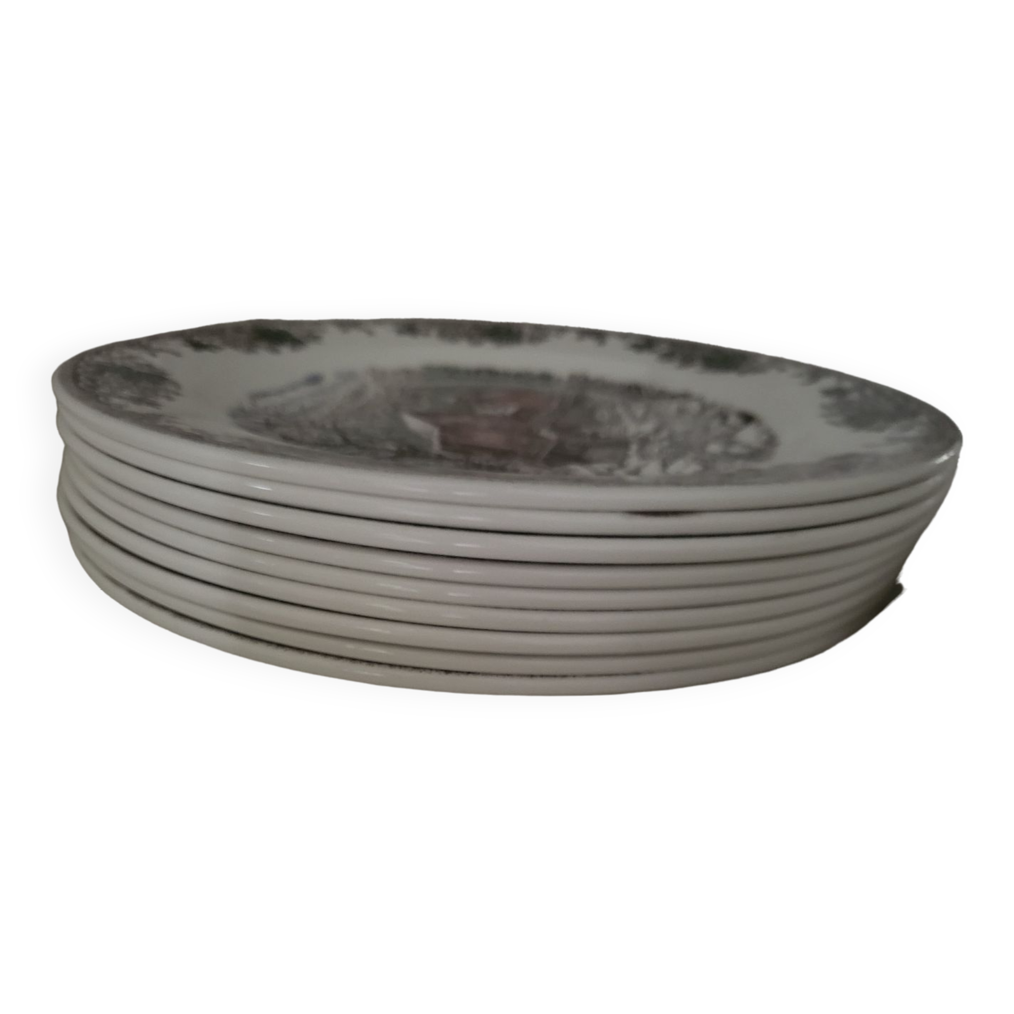 Set of 9 queen's english porcelain plates