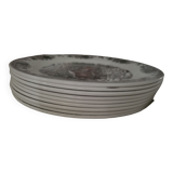 Set of 9 queen's english porcelain plates