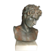 Greek bust in terracotta with bronze patina