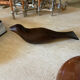 Vintage Walnut Bird