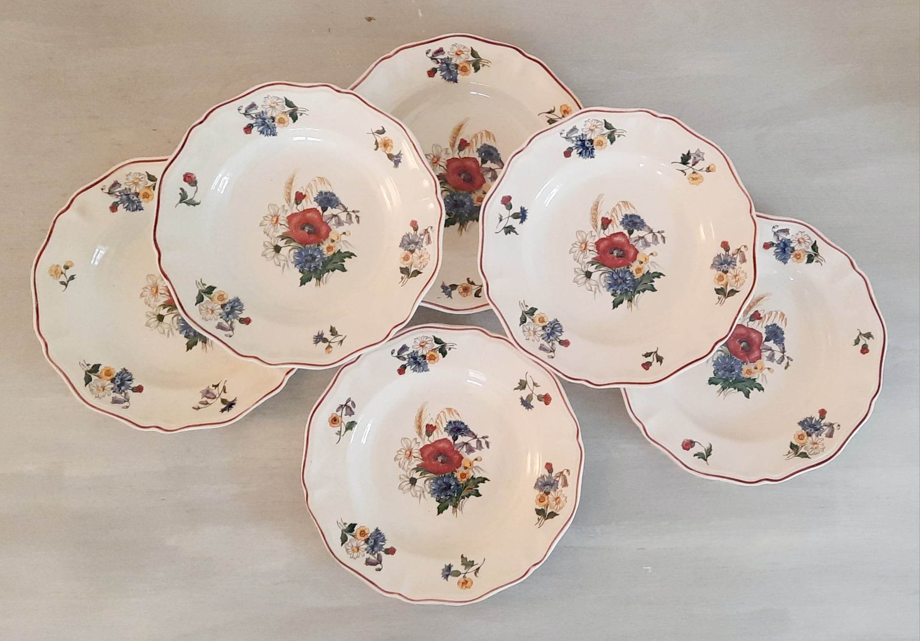 Hollow plates in earthenware Sarreguemines Model "Agreste" Vintage