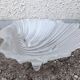 Glass shell catchall