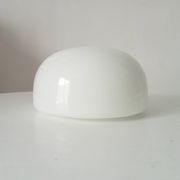 Old vintage globe lampshade in opaline.