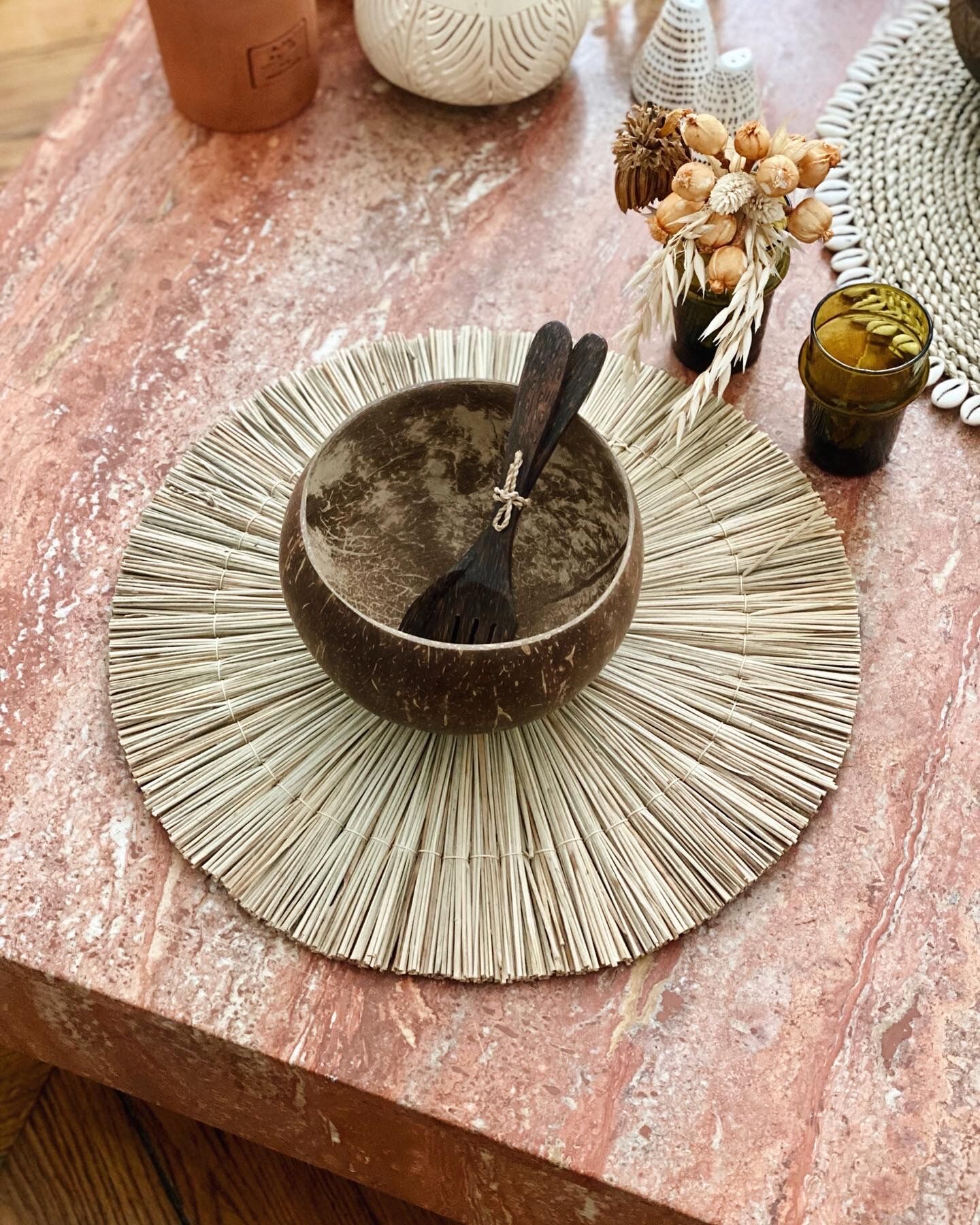 Bowl in natural coconut ecological plate