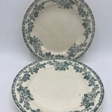 Set of plates Terre de fer