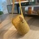 Vichy curist glass graduated in his leather and straw bag