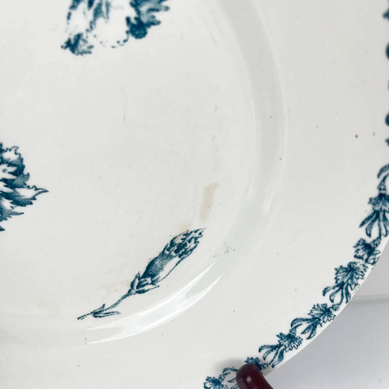 Set of 6 flat plates model "Oeillet", KG Lunéville, ironstone, 19th century