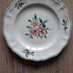 Amazonas plates Sarreguemines