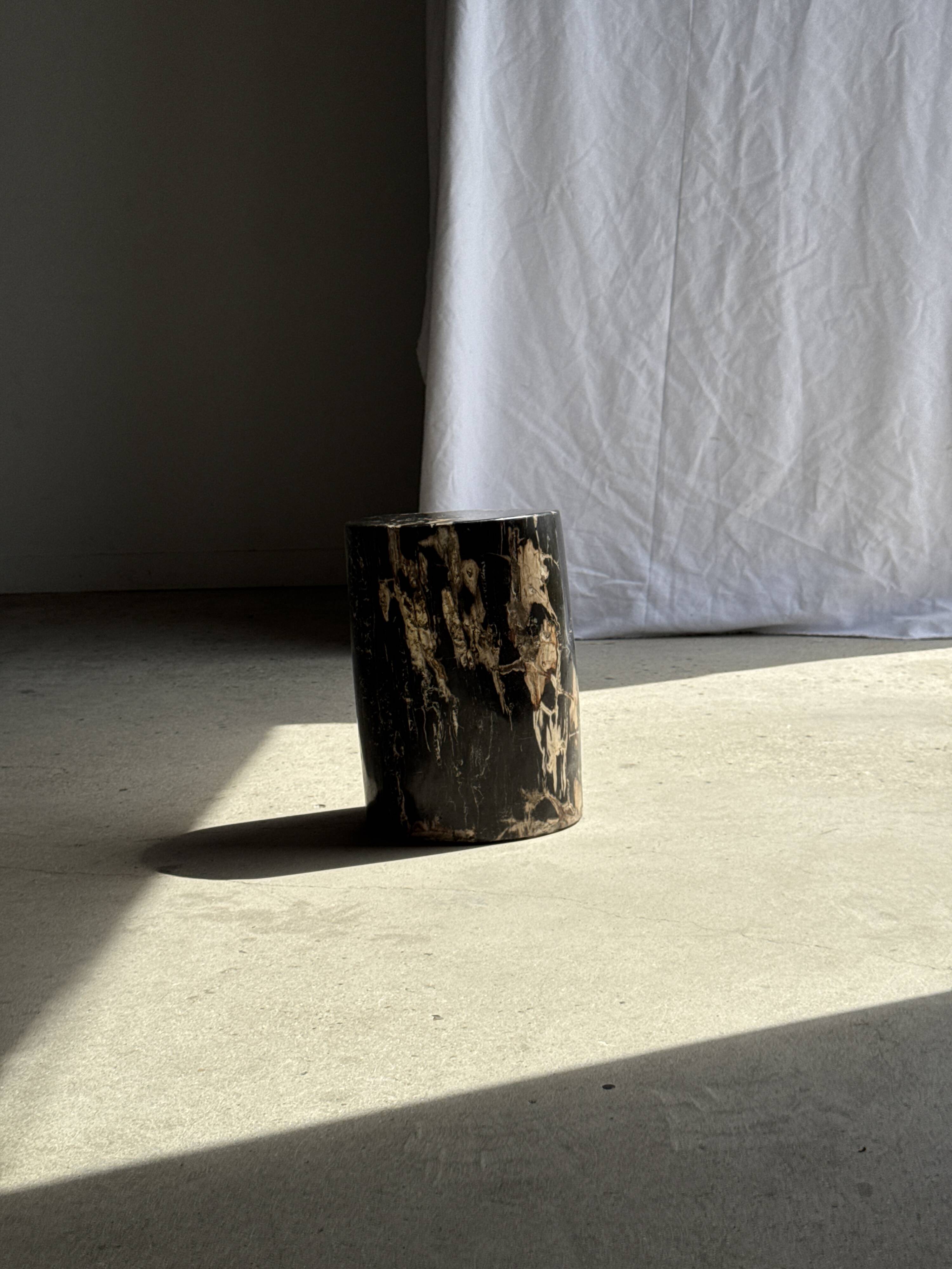 Black petrified wood side table with beige side H35 D24 - 3352