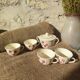Ensemble 4 tasses et un sucrier Badonviller Floral