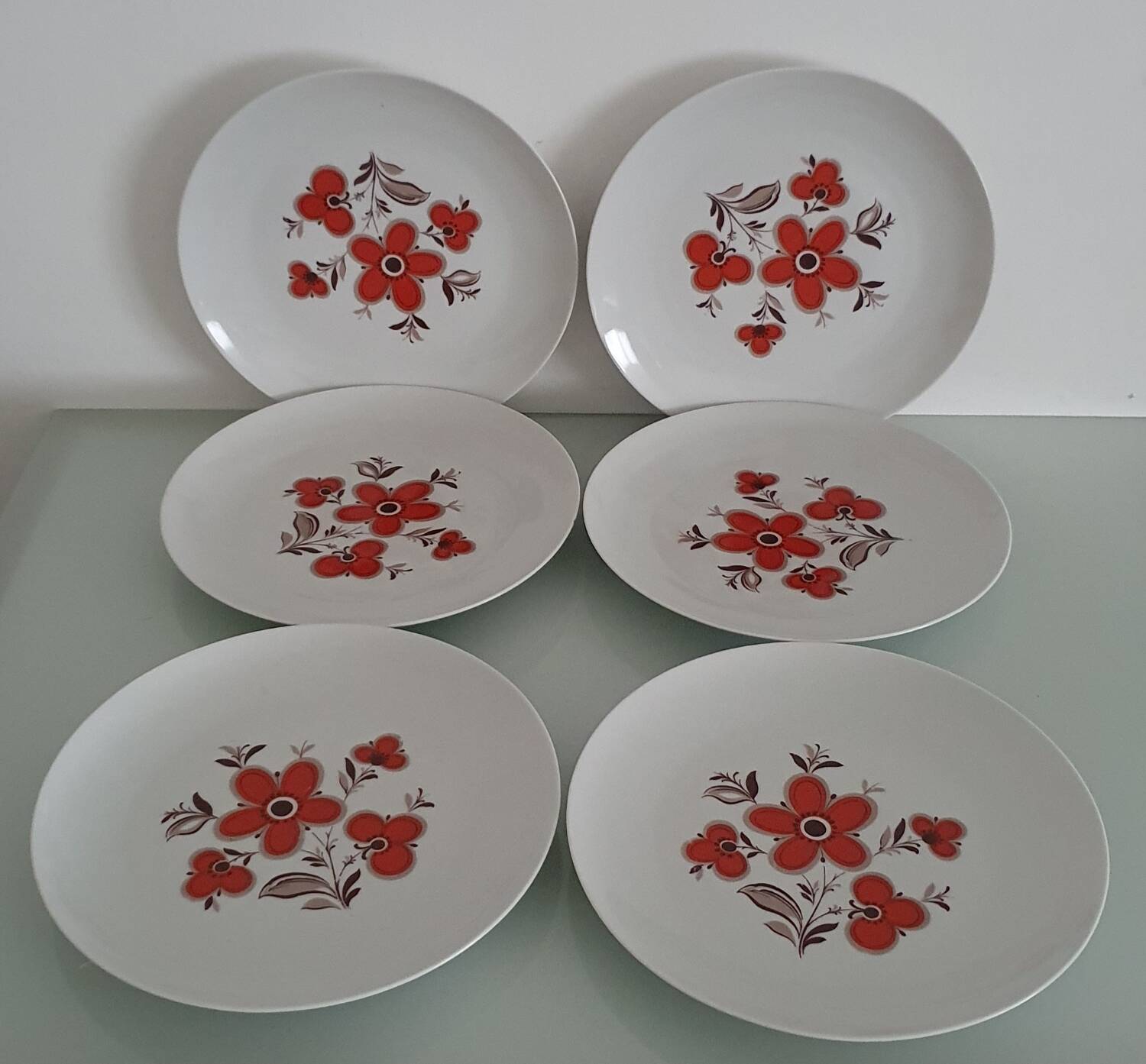 Set of 6 flat plates - Arzberg earthenware factory - 1960/70