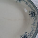 Dish