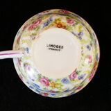 9 porcelain coffee cups from limoges haviland decorated with flowers circa 1930