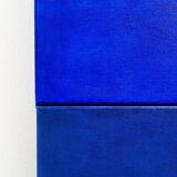 Indigo overseas horizon