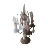 Candle lamp and grapevines