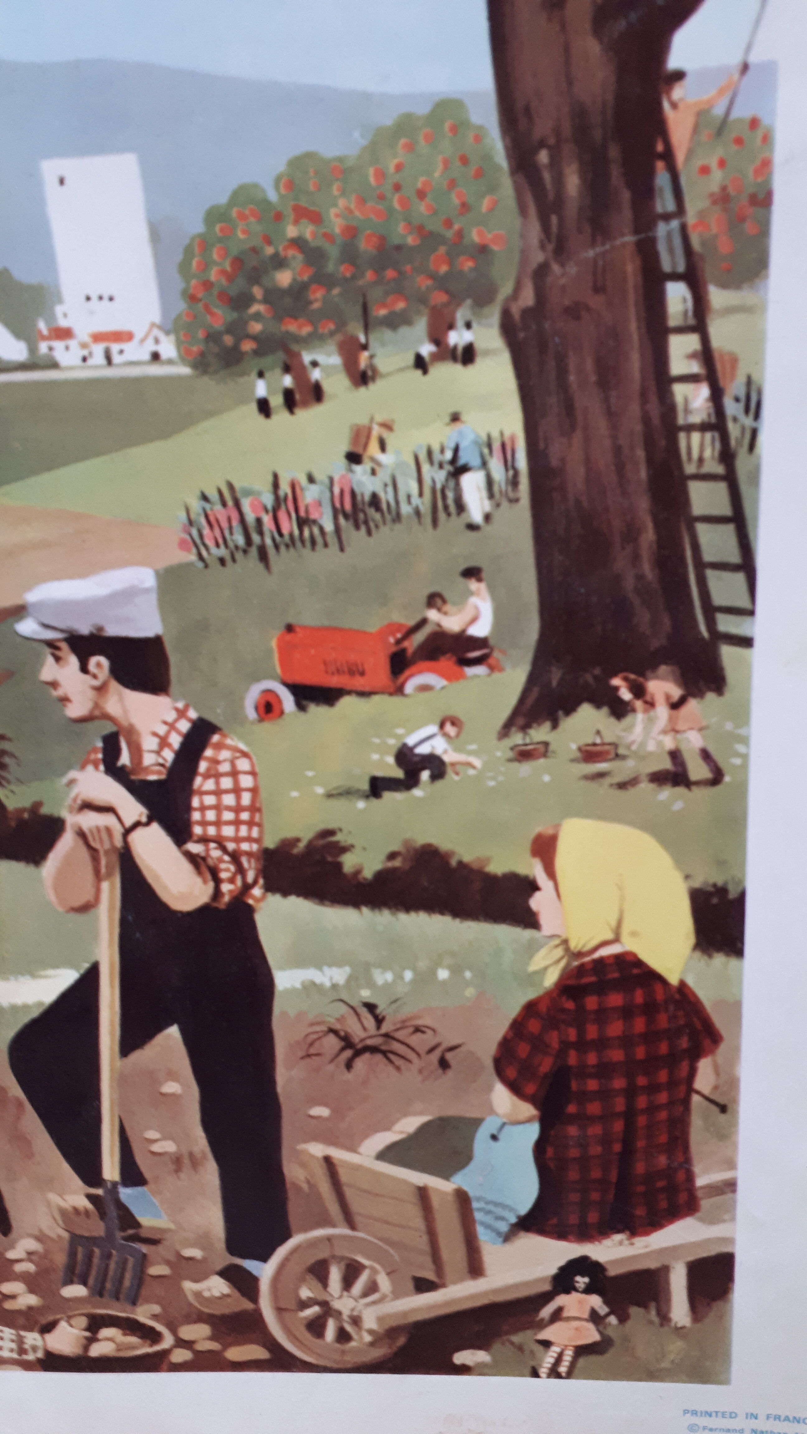 Map displays school lesson fall vintage 1967