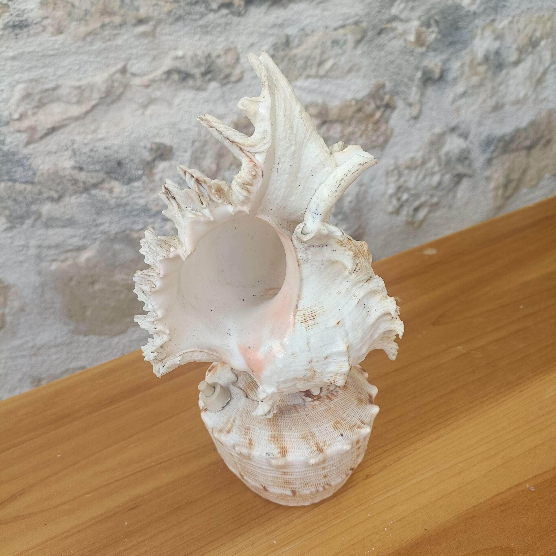 Shell lamp 60's