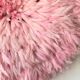 Juju Hat pink 80 cm