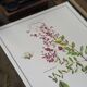 Henna, printed illustration from 1986. Vintage Botany. 24X31cm