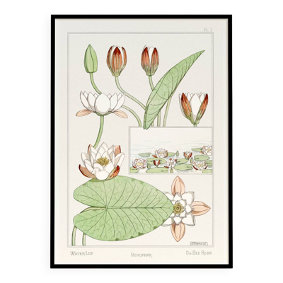 Affiche “Nénuphar”, d’après une lithographie art nouveau de 1897