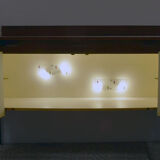 Mid-century decorated sideboard with internal lighting by Società Italiana Compensati Curvati