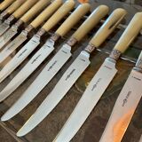 12 table knives. Horn handle