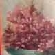 Oil on canvas Flowers and shells F. De Villeneuve