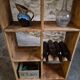Vintage pine shelf with compartments, room divider, 1950s.