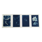 Lots of 4 10x15 Cyanotype prints to frame or give as a gift