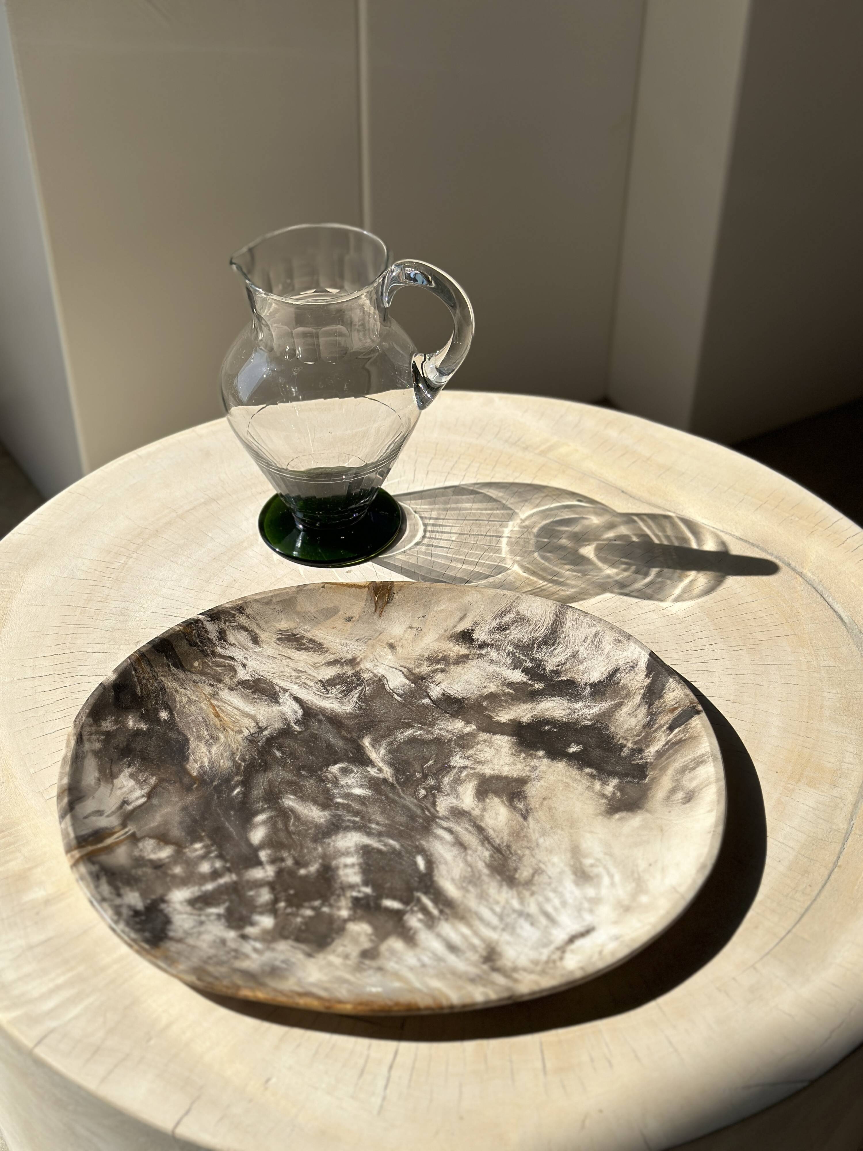 Very large empty pocket or dish in petrified wood