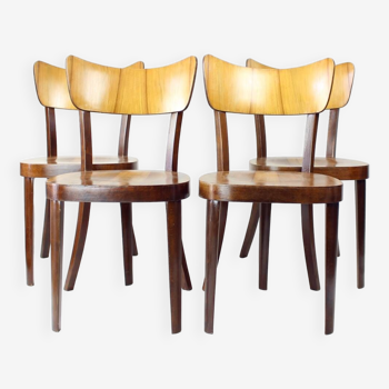 Set Of 4 Dining Chairs By Tatra In Walnut, Czechoslovakia 1960s