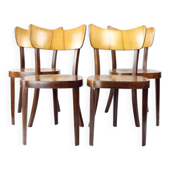 Ensemble de 4 chaises à repas par Tatra en noyer, Tchécoslovaquie 1960