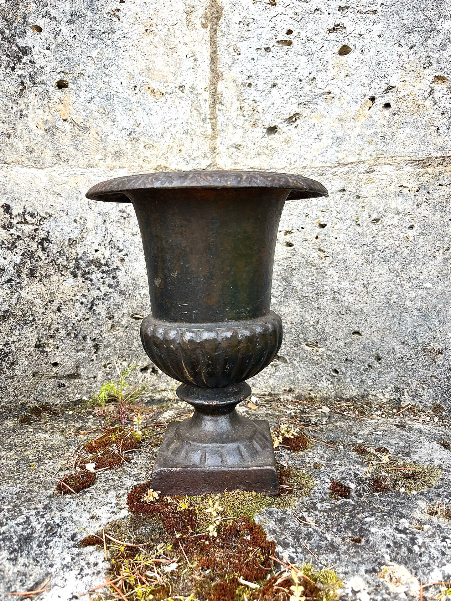 Iron garden urn planter, Antique French cast iron classical campana va