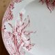 Red iron clay deep plate Saint Amandinoise iris model