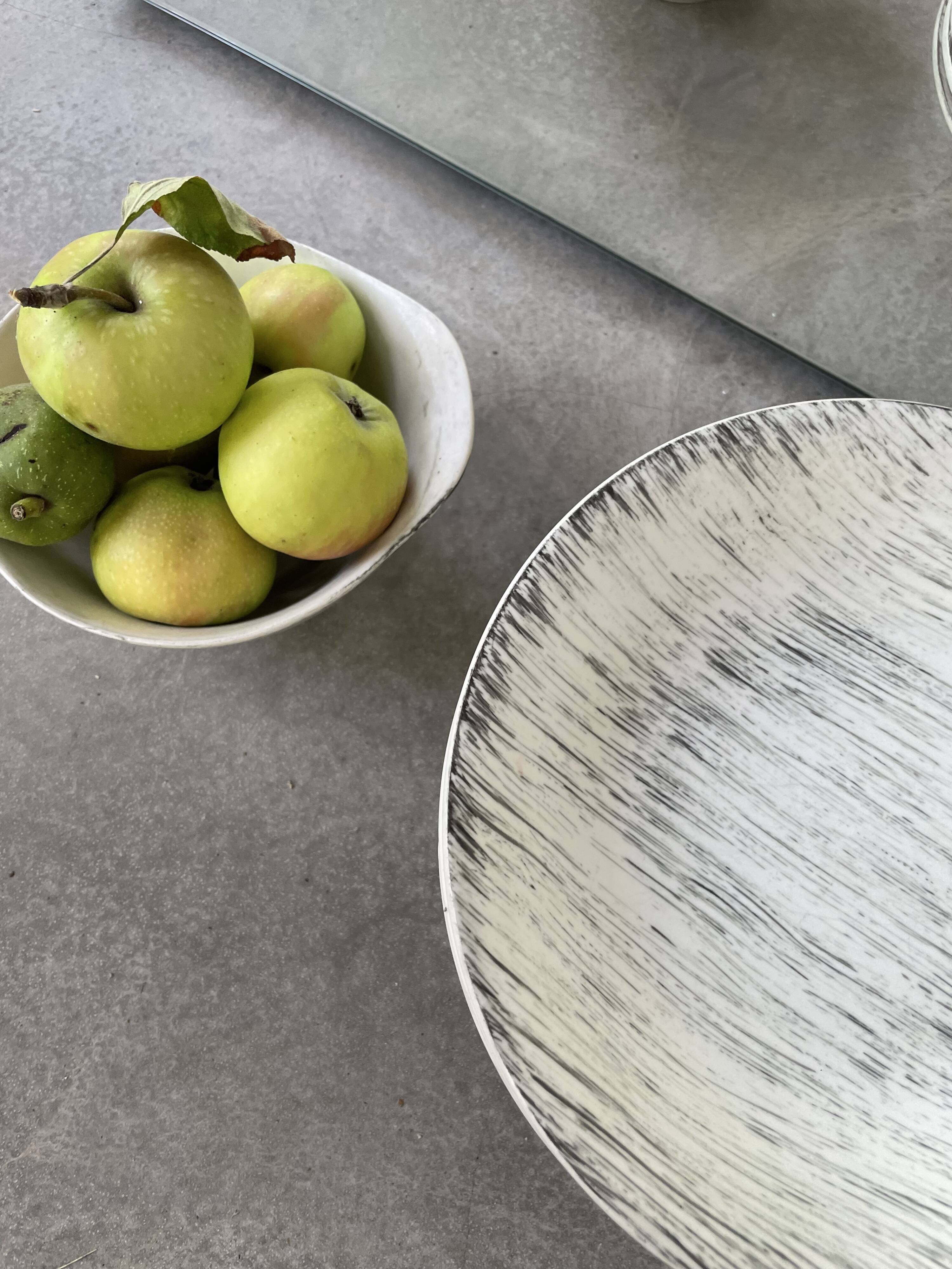 Set of plates and dishes Bazas de Salins 1960