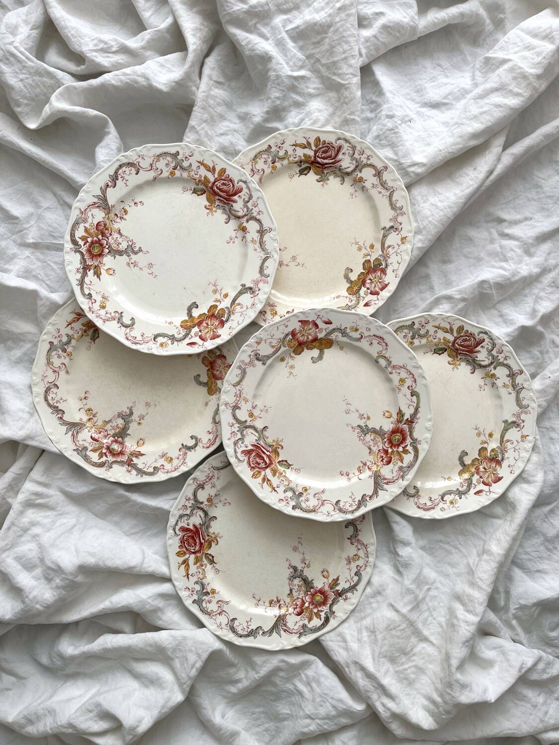 6 polychrome ironstone dinner plates "Wentworth" by Emile Bourgeois