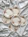 6 assiettes plates terre de fer polychrome "Wentworth" Emile Bourgeois