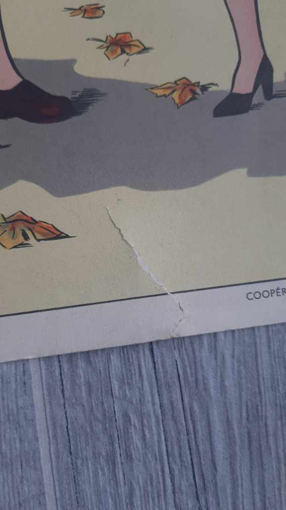 Rossignol school poster