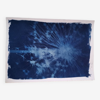 Blurred flower vintage blue cyanotype