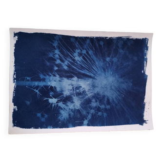 Cyanotype bleu vintage fleur floue