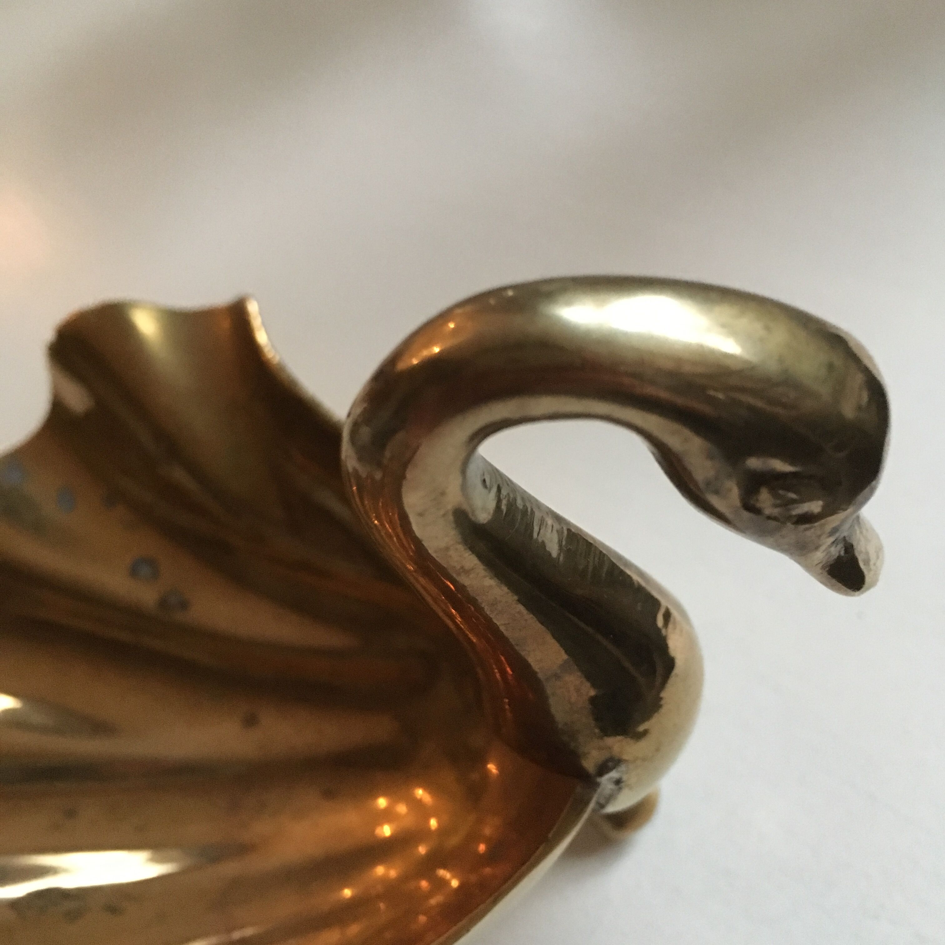 Empty Pocket Swan brass on foot