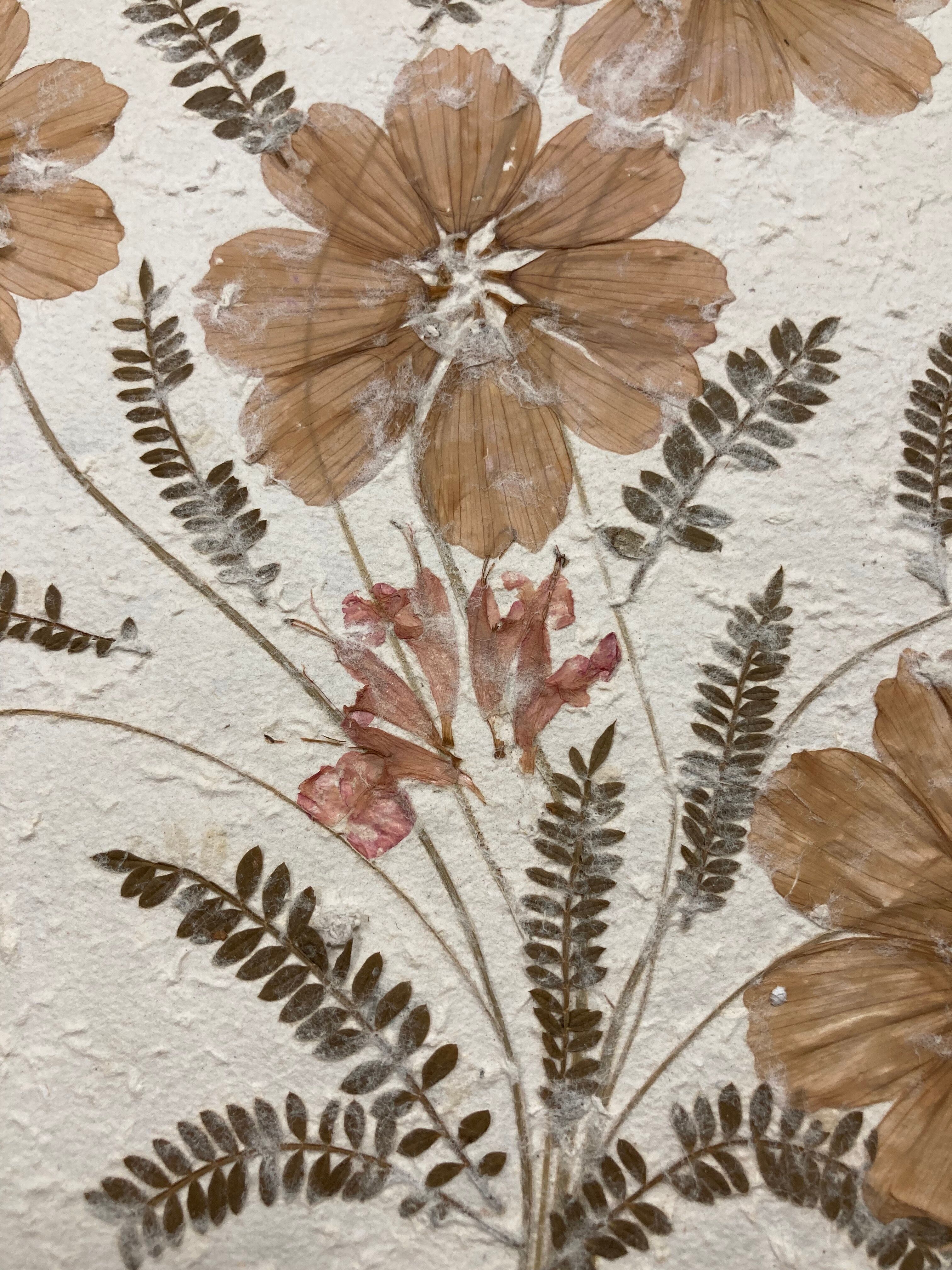 Planche fleurs séchées