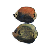 Set of 2 fish-shaped trays.