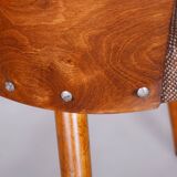 Set of Six Restored Mid-Century Modern Chairs, Beech, Czechia, 1950-1959