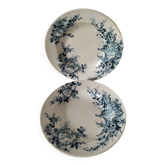 Pair of deep plates Hte Boulenger & Cie Choisy-le-Roi, circa 1885–1900.